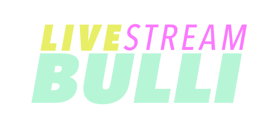 Das Logo des Live Stream Bulli - dem Ü-Wagen der Gebrüder Rupp